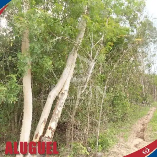 Terreno para alugar em ERS 240, Capela de Santana