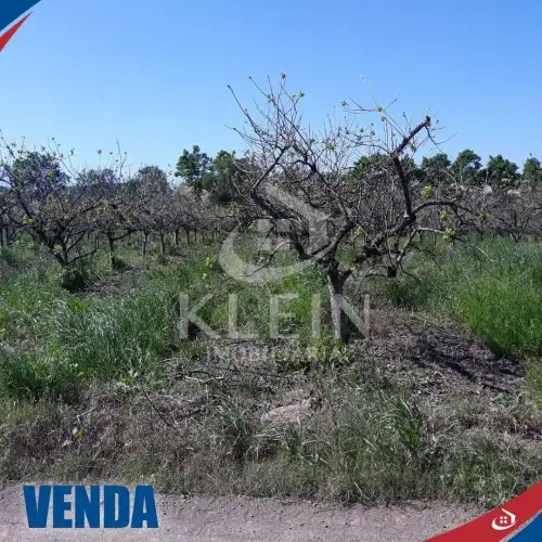 Área de Terras à venda em Matiel, Pareci Novo