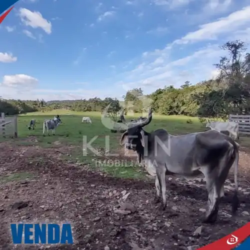 Chácara à venda em Morro Peixoto, Harmonia