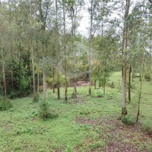 Área de Terras à venda em Matiel, Harmonia