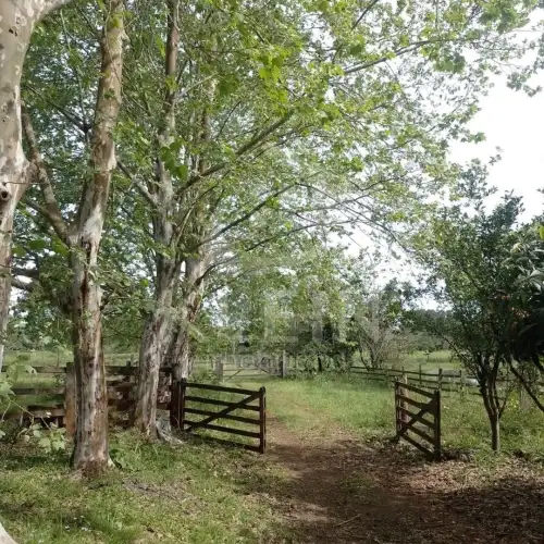Chácara à venda em Campestre Santa Terezinha, São Sebastião do Caí
