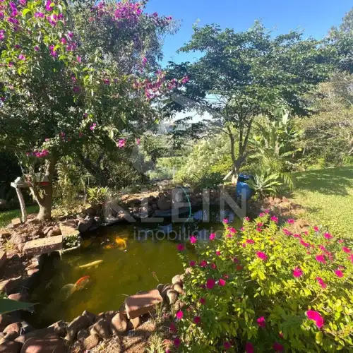 Casa à venda em Vila Rica, Harmonia