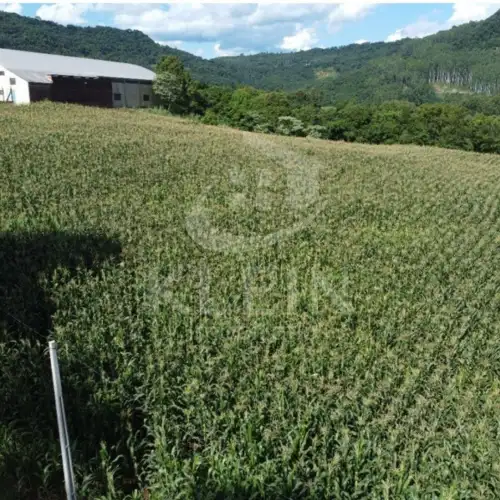 Área de Terras à venda em Piedade, Bom Princípio