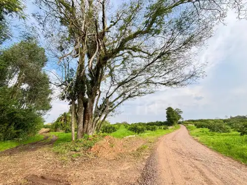 Área de Terras à venda em Chapadão, São Sebastião do Caí