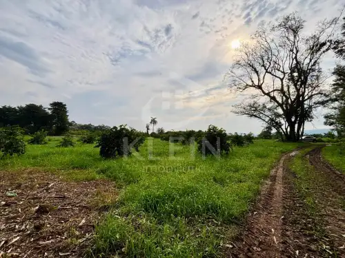 Área de Terras à venda em Chapadão, São Sebastião do Caí