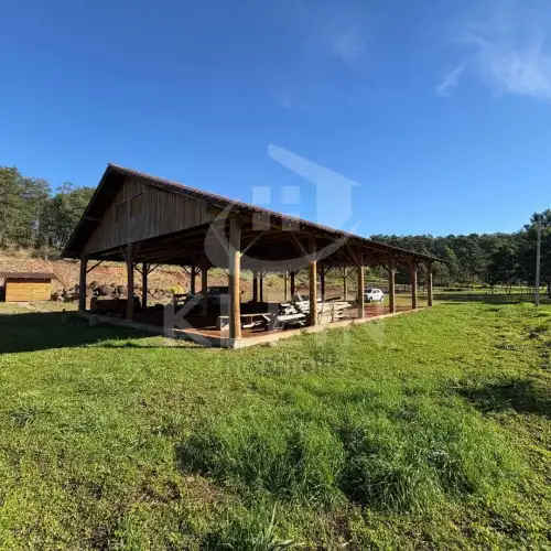 Área de Terras à venda em Conceição, São Sebastião do Caí
