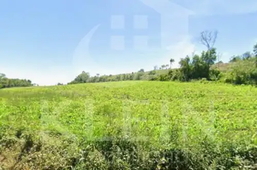 Área de Terras à venda em Centro, Lindolfo Collor